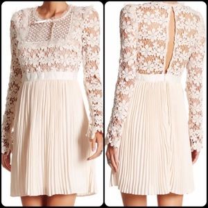 Romeo & Juliet lace pleated fully lined dress